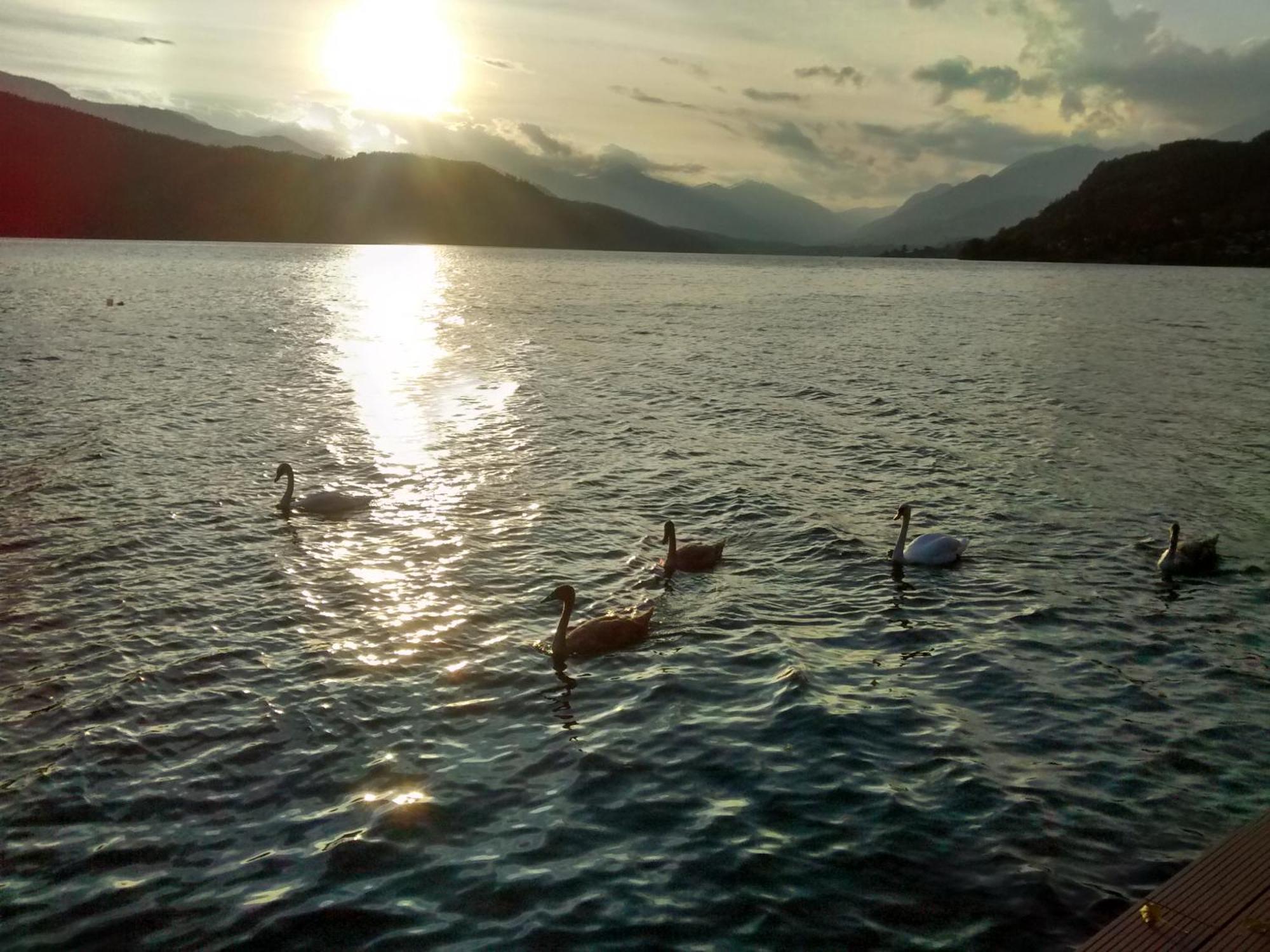 Ferienwohnungen Fischerhaus - Direkt Am See Millstatt Ngoại thất bức ảnh