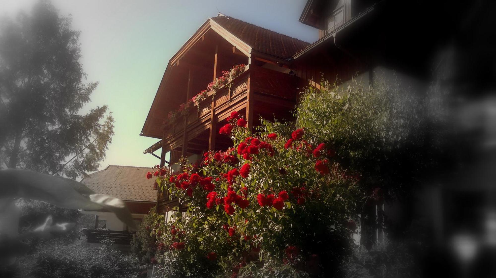 Ferienwohnungen Fischerhaus - Direkt Am See Millstatt Ngoại thất bức ảnh