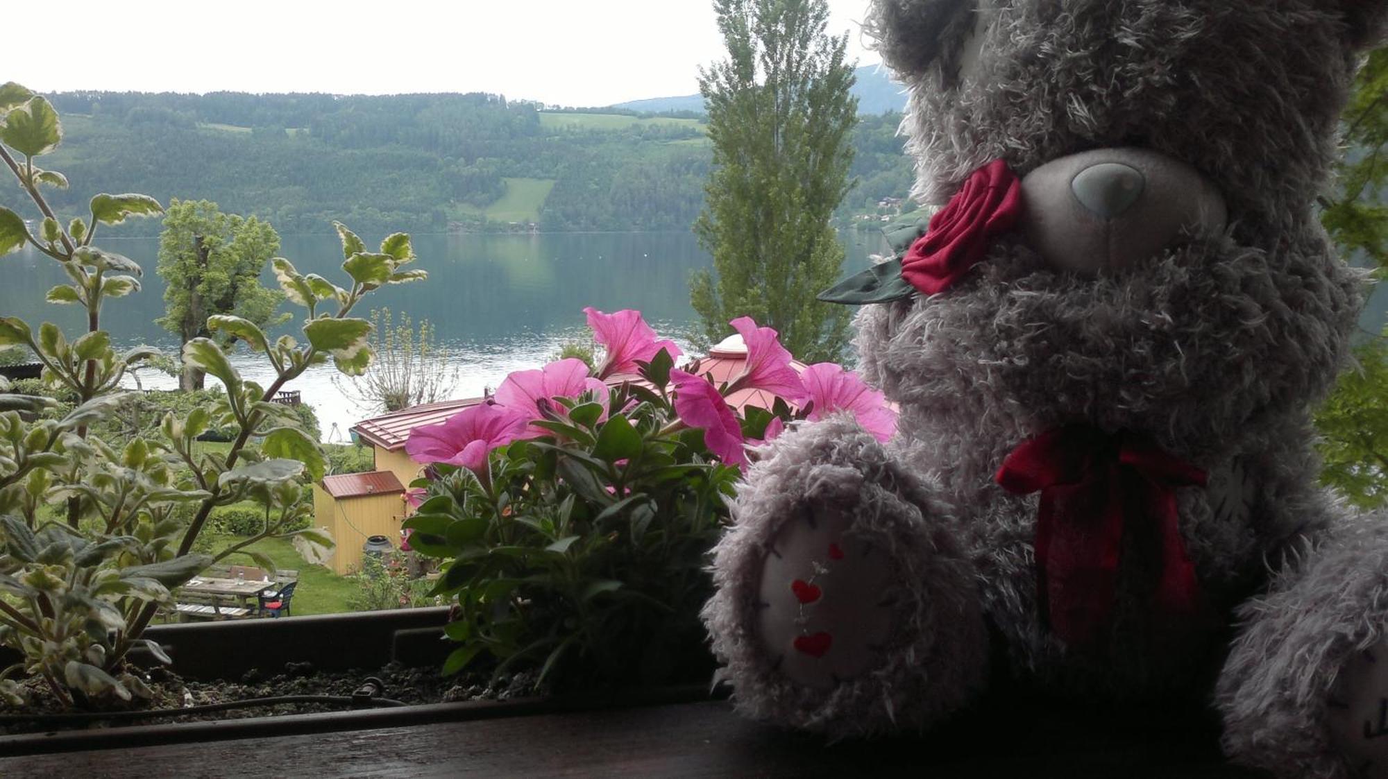 Ferienwohnungen Fischerhaus - Direkt Am See Millstatt Ngoại thất bức ảnh